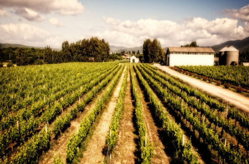 Busrundreise Sardinien Wein & Kultur Busrundreise Sardinien Wein & Kultur